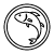 Pescado